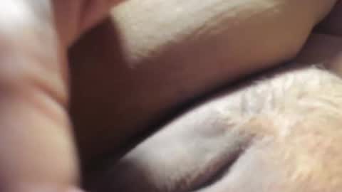 FrumCake online show from 12/06/24, 01:18