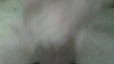 Snapshot of fryboxxxxx chatting on 07/02/26, 05:41 fry online show from 07/02/26, 05:41