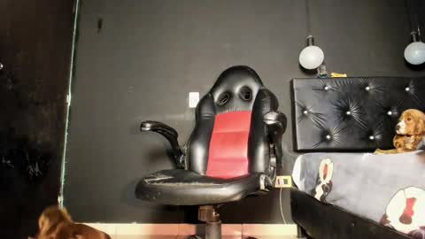 Ricardodominic 1   MODELO INDEPENDIENTE online show from 05/31/26, 02:42