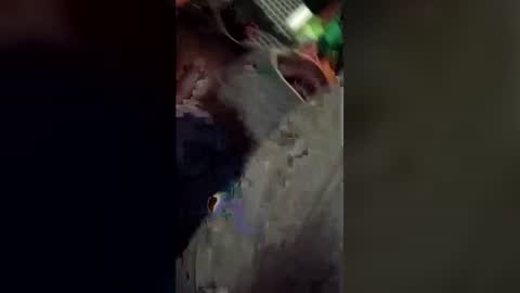 Fukme online show from 06/29/26, 11:10