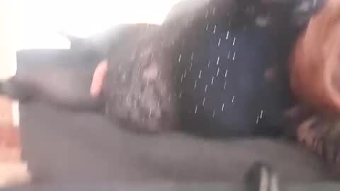 Snapshot of full4cefull chatting on 12/29/24, 02:17 Pizzaz online show from 12/29/24, 02:17