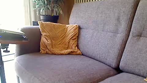 fun4couples online show from 06/19/26, 09:46
