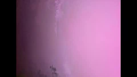 Snapshot of fungi4591 chatting on 11/17/25, 07:30 Daniel kim online show from 11/17/25, 07:30