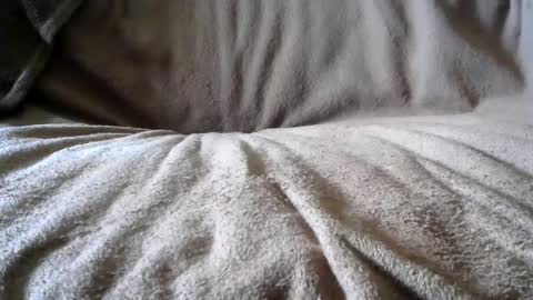 Snapshot of funguy4558 chatting on 02/24/25, 06:58 BigLoadsJoe online show from 02/24/25, 06:58