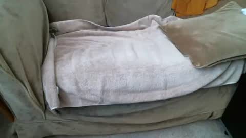 Snapshot of funlovinchub chatting on 02/08/26, 06:33 funlovinchub online show from 02/08/26, 06:33