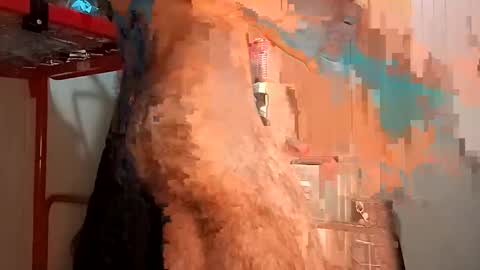 Snapshot of funny_quarantine chatting on 02/02/25, 02:24 Italian men online show from 02/02/25, 02:24