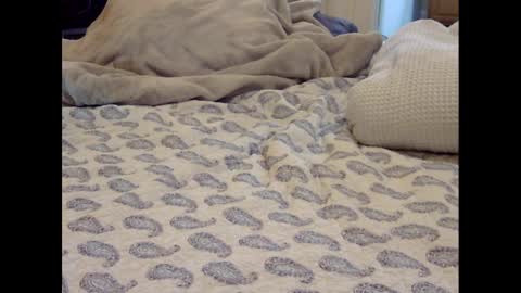 Funtimz16 online show from 03/09/25, 08:07