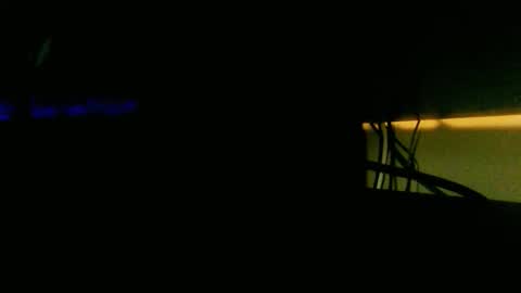 funwithdick7 online show from 03/15/26, 08:59