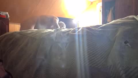 77daddy online show from 02/23/26, 04:04