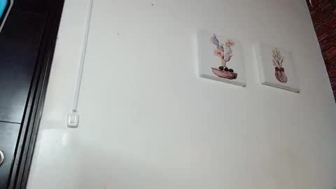 FIRE AND FOX online show from 03/04/25, 11:00