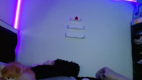 Victoria online show from 03/11/25, 12:00