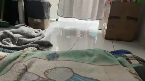 gab021593 online show from 01/16/26, 03:38