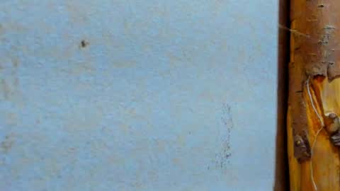 gabo_horny01 online show from 07/20/26, 08:33