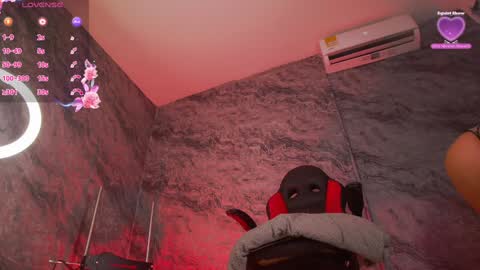 GABRIELA online show from 01/24/25, 11:23