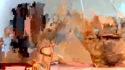 Dani online show from 01/23/25, 11:37