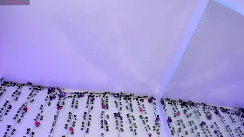 Gaby  online show from 02/28/25, 01:14