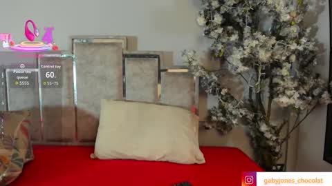 gabyyjones online show from 11/28/25, 11:24