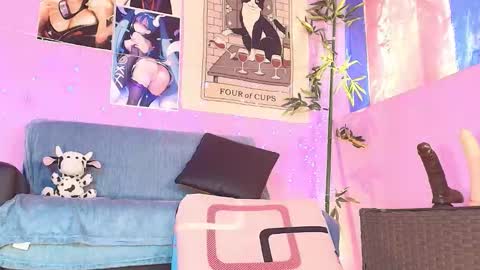 Gaia online show from 11/05/25, 01:11