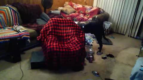 gamerfiend420 online show from 10/17/25, 01:53