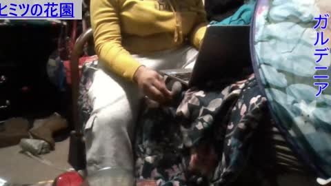 Gardenia online show from 12/09/24, 08:33