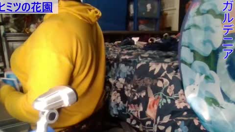 Gardenia online show from 12/28/24, 02:22