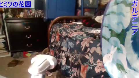 Gardenia online show from 12/28/24, 05:55