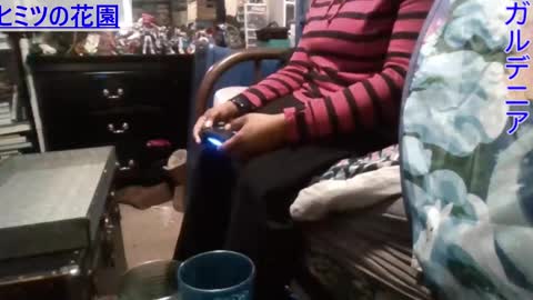 Gardenia online show from 12/29/24, 09:09