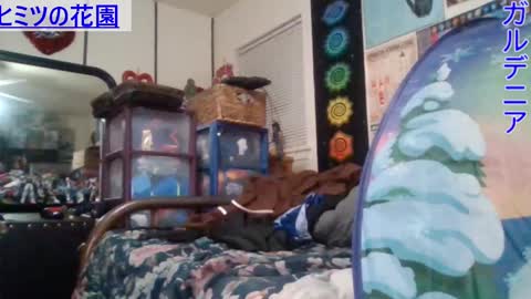 Gardenia online show from 01/29/25, 08:51