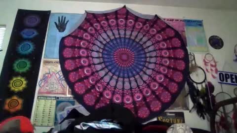 Gardenia online show from 04/05/26, 11:13