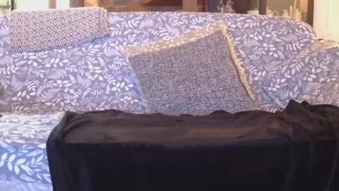 Snapshot of garybaker60 chatting on 01/01/25, 08:47 Gaz online show from 01/01/25, 08:47