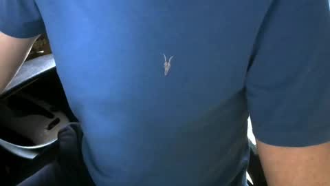 gay slave on cam online show from 10/05/25, 09:40