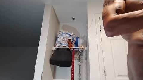 Zanecubano online show from 09/13/25, 09:53