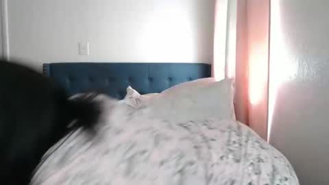 The Empress online show from 03/02/25, 06:19