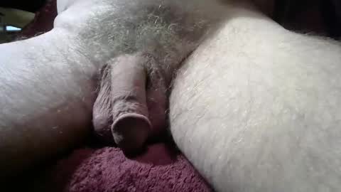 Snapshot of gemini_2 chatting on 03/03/26, 09:31 gemini_2 online show from 03/03/26, 09:31