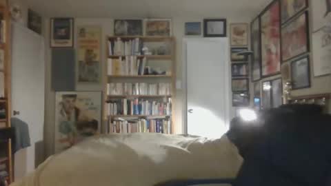 Steve online show from 11/26/25, 07:42