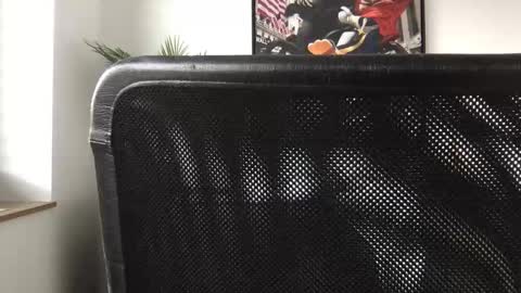 german3003 online show from 10/28/25, 09:46