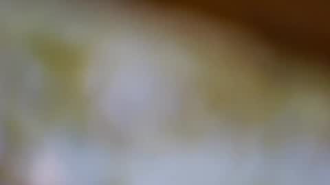 germanandy71 online show from 11/20/25, 08:14