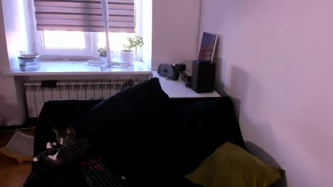 geserm online show from 04/01/26, 01:41