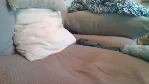 Getsome11 online show from 03/08/26, 12:53