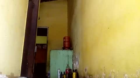 Gaby online show from 10/13/25, 05:13