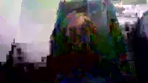 ghardh3 online show from 02/19/25, 05:05