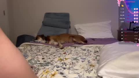 gigi online show from 02/05/25, 01:58