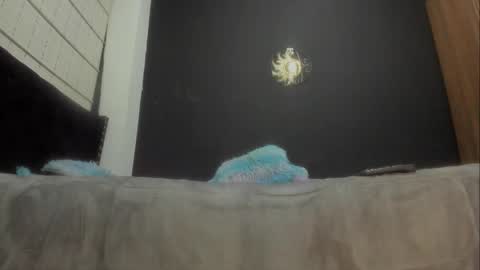 Miss online show from 03/07/25, 06:54