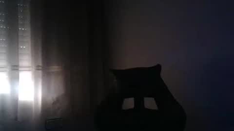 gioshadow online show from 05/26/26, 03:52