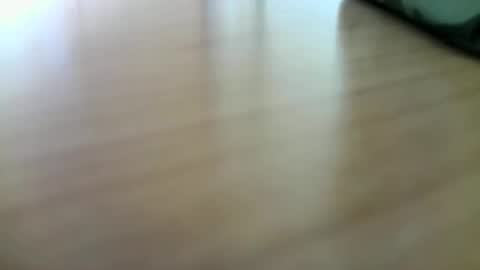 Snapshot of giovet chatting on 12/29/24, 10:56 giovet online show from 12/29/24, 10:56