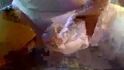 Snapshot of girafsnoop chatting on 01/19/25, 09:22 girafsnoop online show from 01/19/25, 09:22