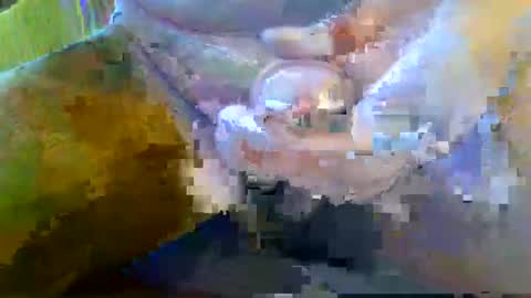 Snapshot of girafsnoop chatting on 09/28/25, 08:09 girafsnoop online show from 09/28/25, 08:09