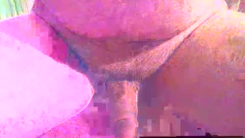 girafsnoop online show from 12/01/25, 04:01