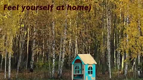 Kristin  online show from 02/22/26, 05:33