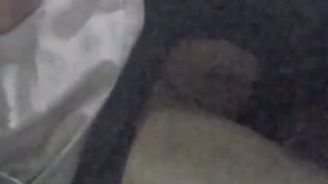 lovegirlscallme online show from 09/09/25, 03:33